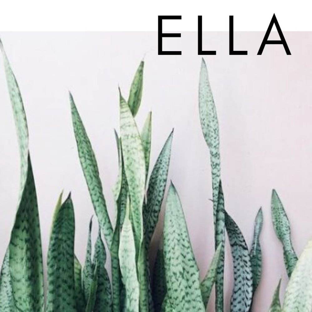 Meet your Posher, Ella